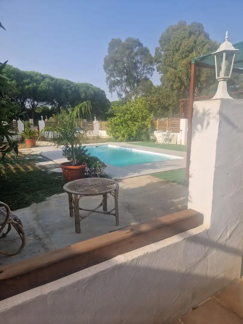 Swimming pool of Country homes for sale in Puerto Real  with Private garden and Swimming Pool