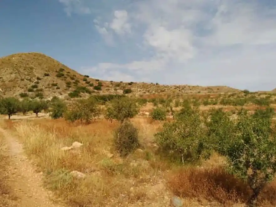 Wohnbaugrundstück zum Verkauf in Nº 81 Parcela 363. Paraje Los Simonetes, imagen 7