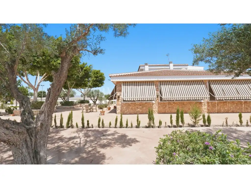 Maison avec jardin à vendre à Dolores, imagen 99