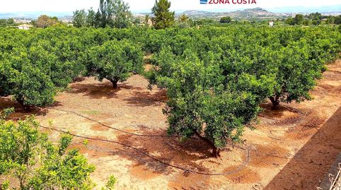 Foto 2 de Finca rústica en venda a Vilamarxant, Valencia