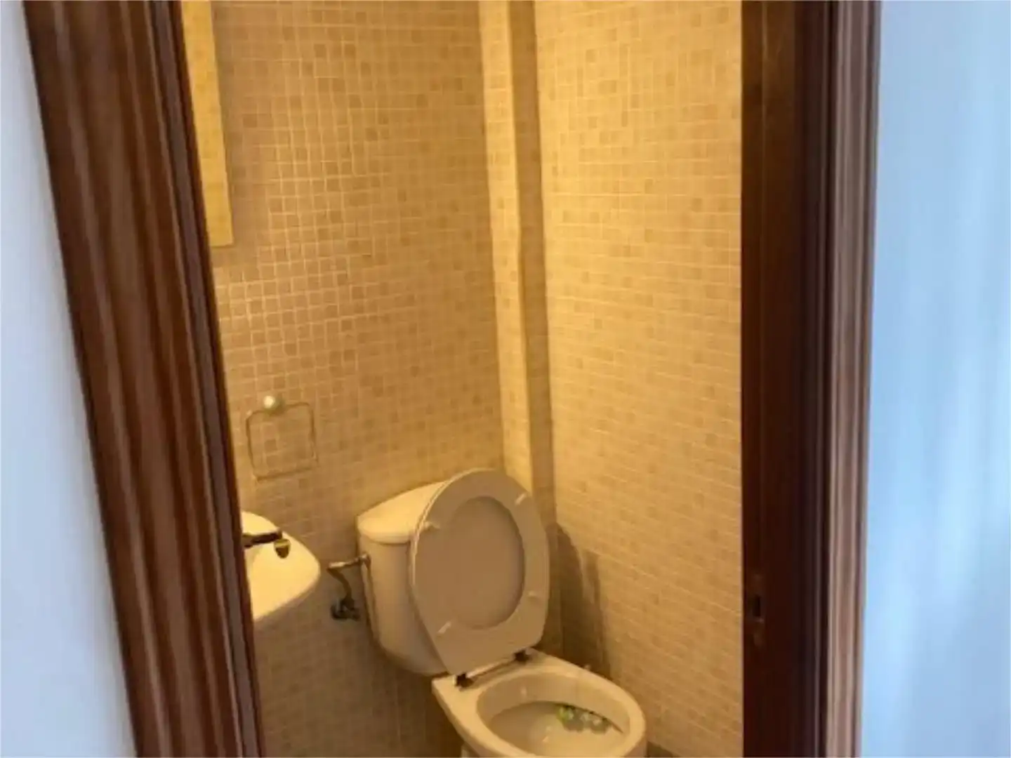 Baño de Apartamento en venta en Benasque con Jardín privado, Piscina y Amueblado
