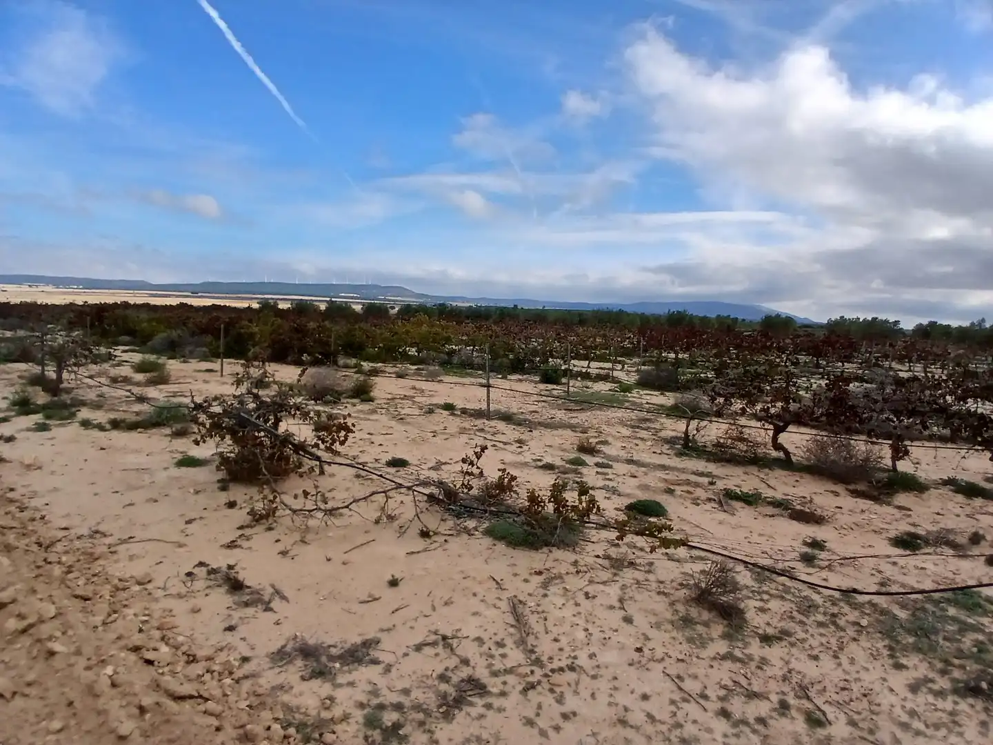 Residential land for sale in Yecla, imagen 9