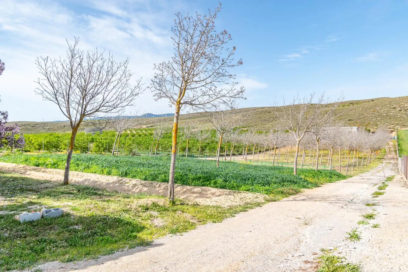 Terreni e lotti in vendita a Padul, imagen 34