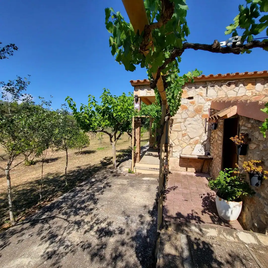Casa rústica con piscina en venta en El Perelló, imagen 18