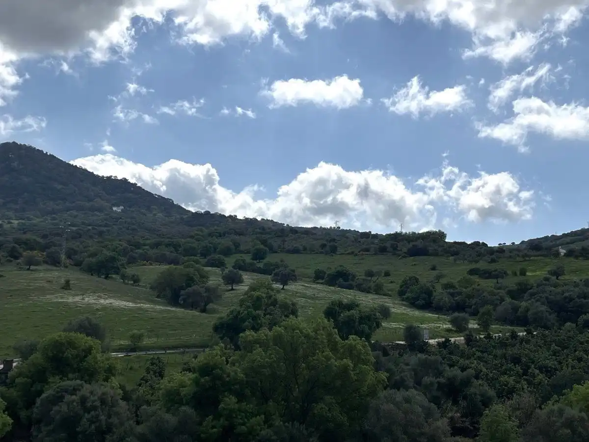 Casa rústica en venta en Cortes de la Frontera, imagen 5
