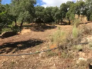 Terreni e lotti in vendita a Cortegana, imagen 11