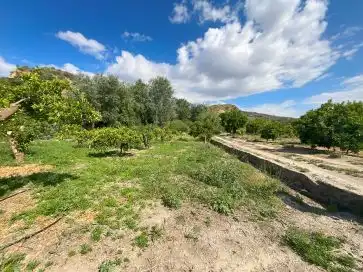 Terreni e lotti in vendita a Andalucia, imagen 6