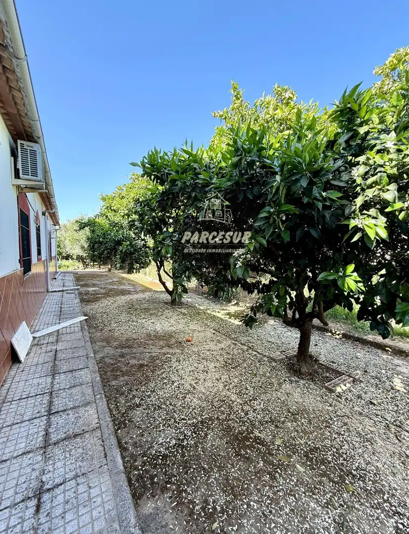 Maison rustique à vendre à Periurbano Oeste - Sierra, imagen 31