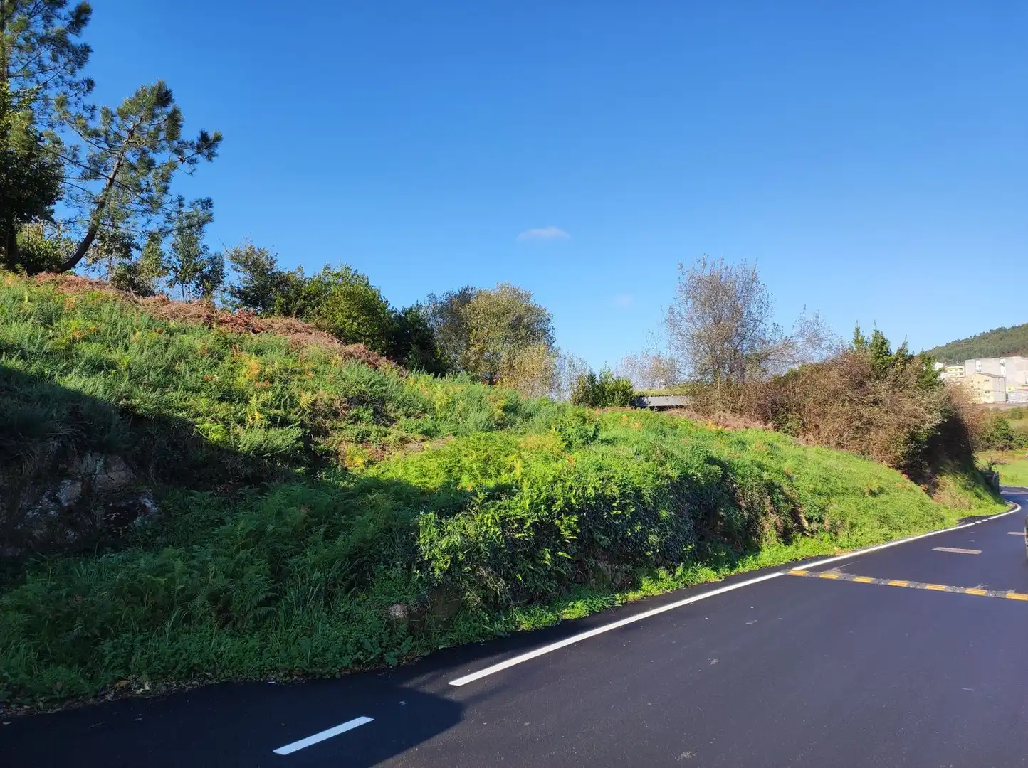 Rural land for sale in Calle Ponte, imagen 10