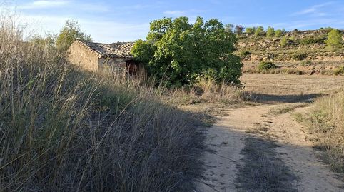 Foto 4 de Finca rústica en venta en N/a, -1, Maella, Zaragoza