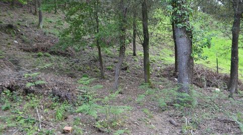 TERRENO  EN BOSCOS DEL MONTNEGRE, imatge 3