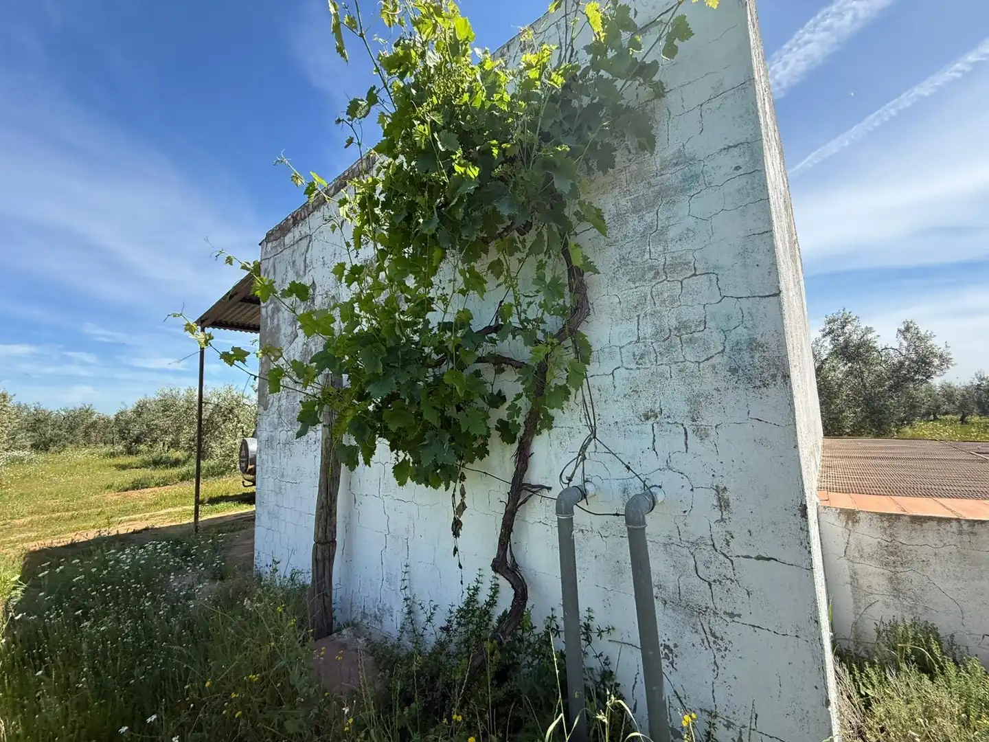 Vista exterior de Terreno en venta en Aznalcázar