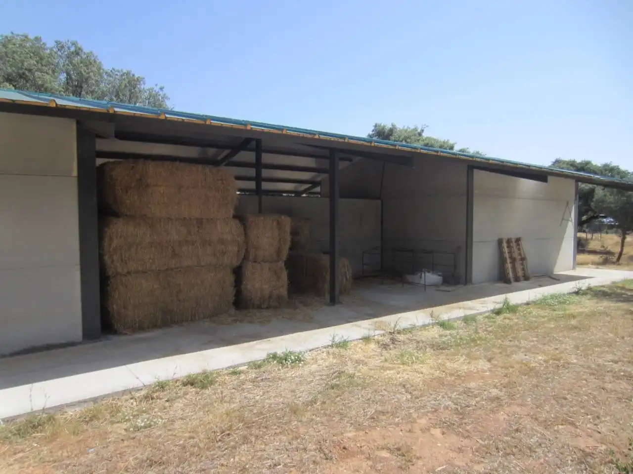 Terreno rustico in vendita a Carretera PASTORES 1, imagen 4