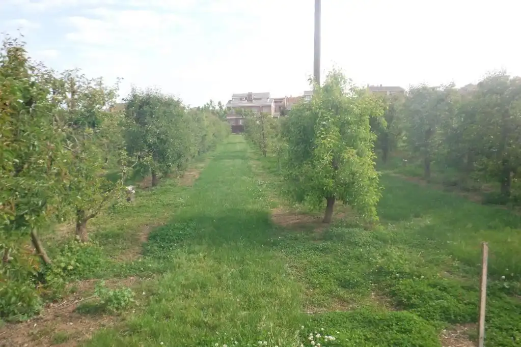 Grundstücke und Bauplätze zum Verkauf in PLA DE LLEIDA, imagen 11