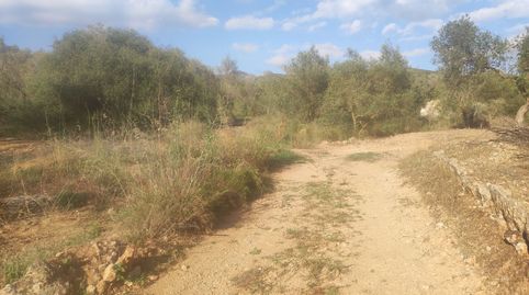 Finca Rúst. en venta en Ulldecona., imatge 4