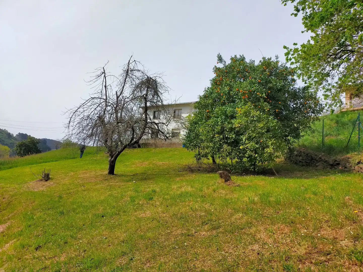 Residencial en venta en Candamo