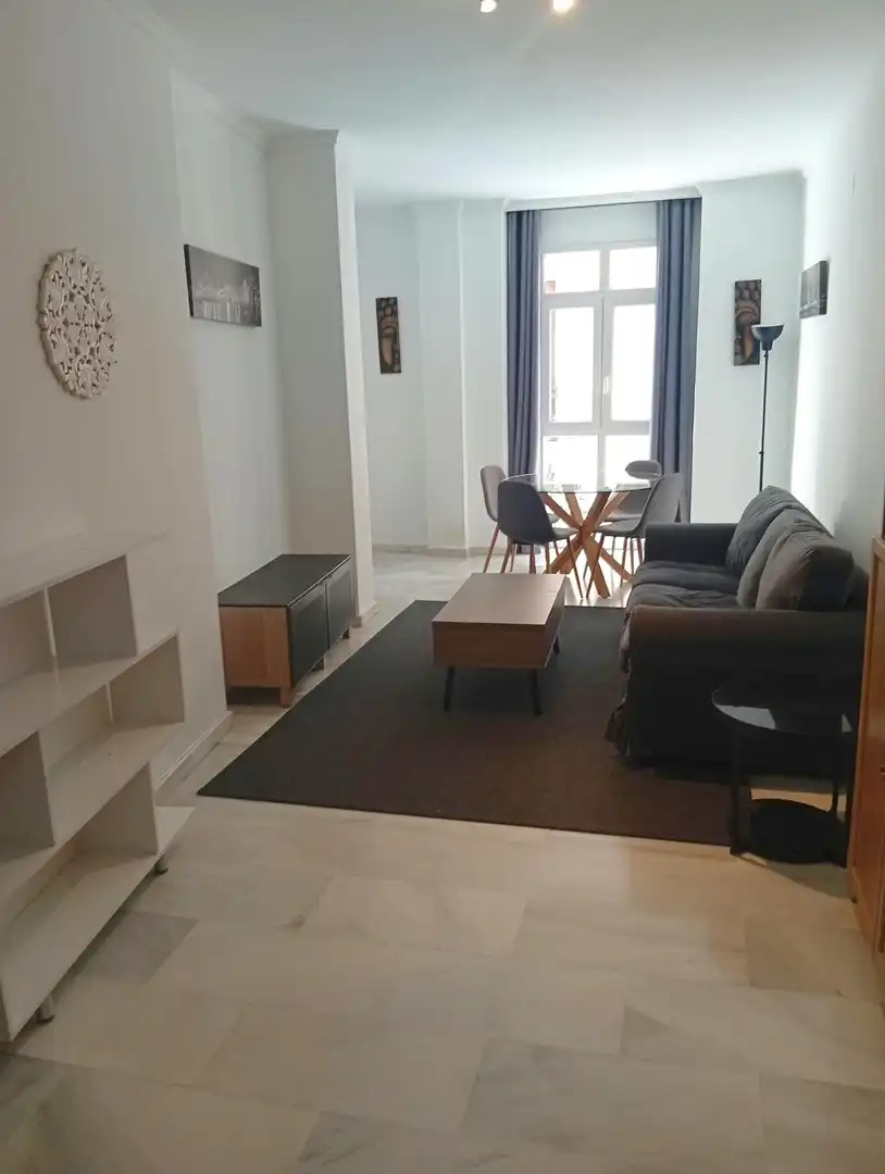 Living room of Flat for rent in Centro