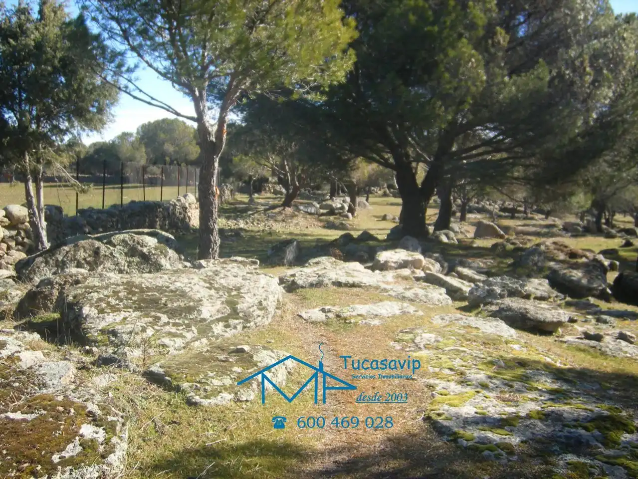 Terreni e lotti in vendita a Cebreros, imagen 5