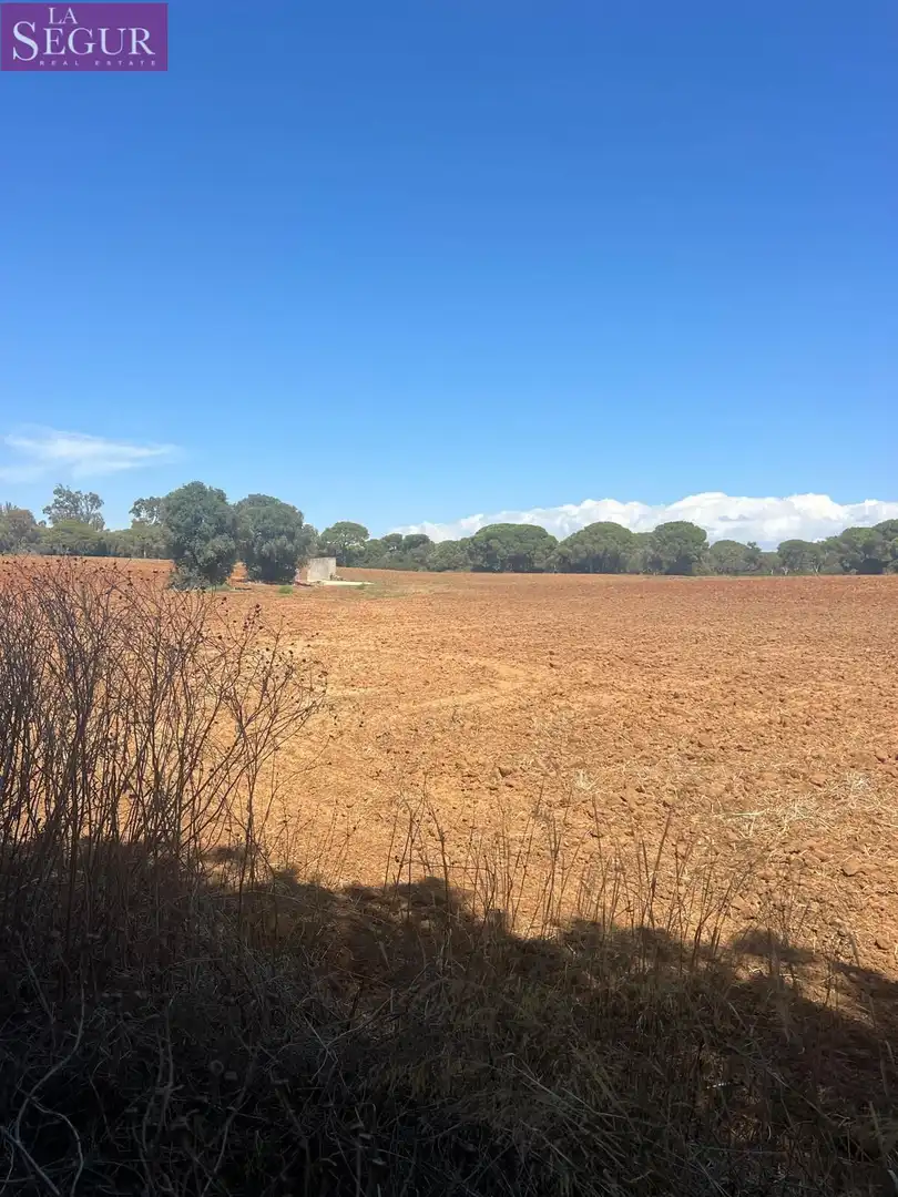 Residential for sale in Vejer de la Frontera