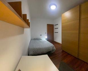 Apartment to share in San Pedro de Deusto - La Ribera