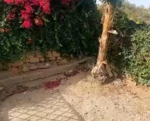 Jardí de Casa o xalet de lloguer en Fasnia amb Terrassa, Moblat i Forn