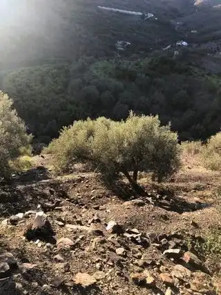 Terreni e lotti in vendita a Torrox Pueblo