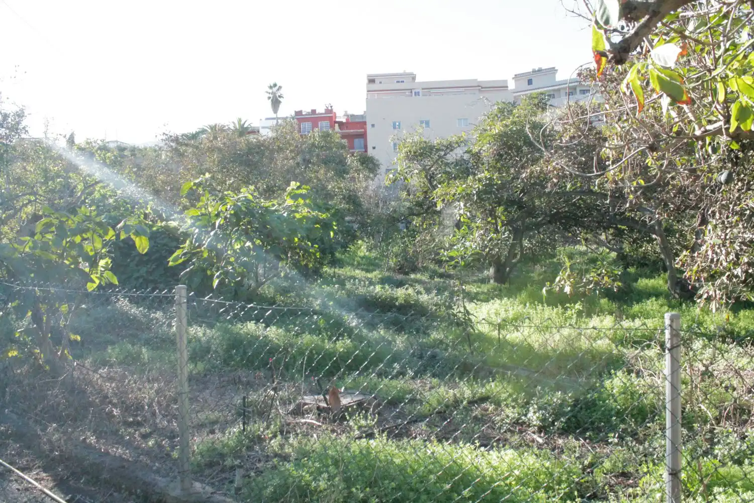 Casa o chalet en venta en Los Realejos con Balcón