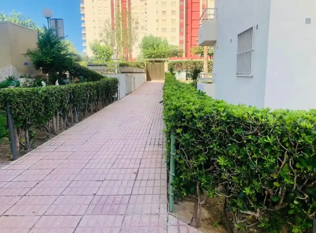 Apartament de lloguer a Carrer de Menorca, 3, Playa de Gandia