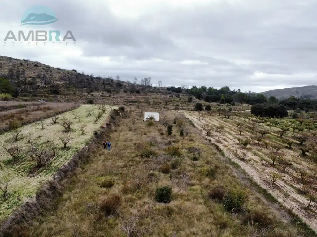 Terreny rústic en venda a Trocet, imagen 19