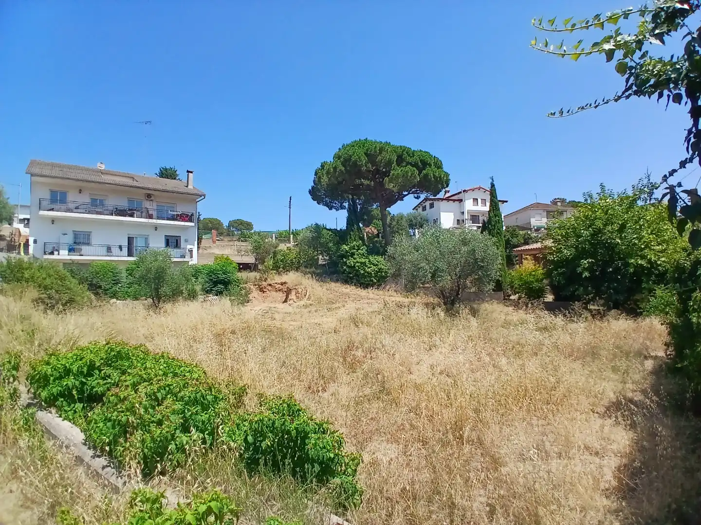 Detached homes for sale in Fogars de la Selva