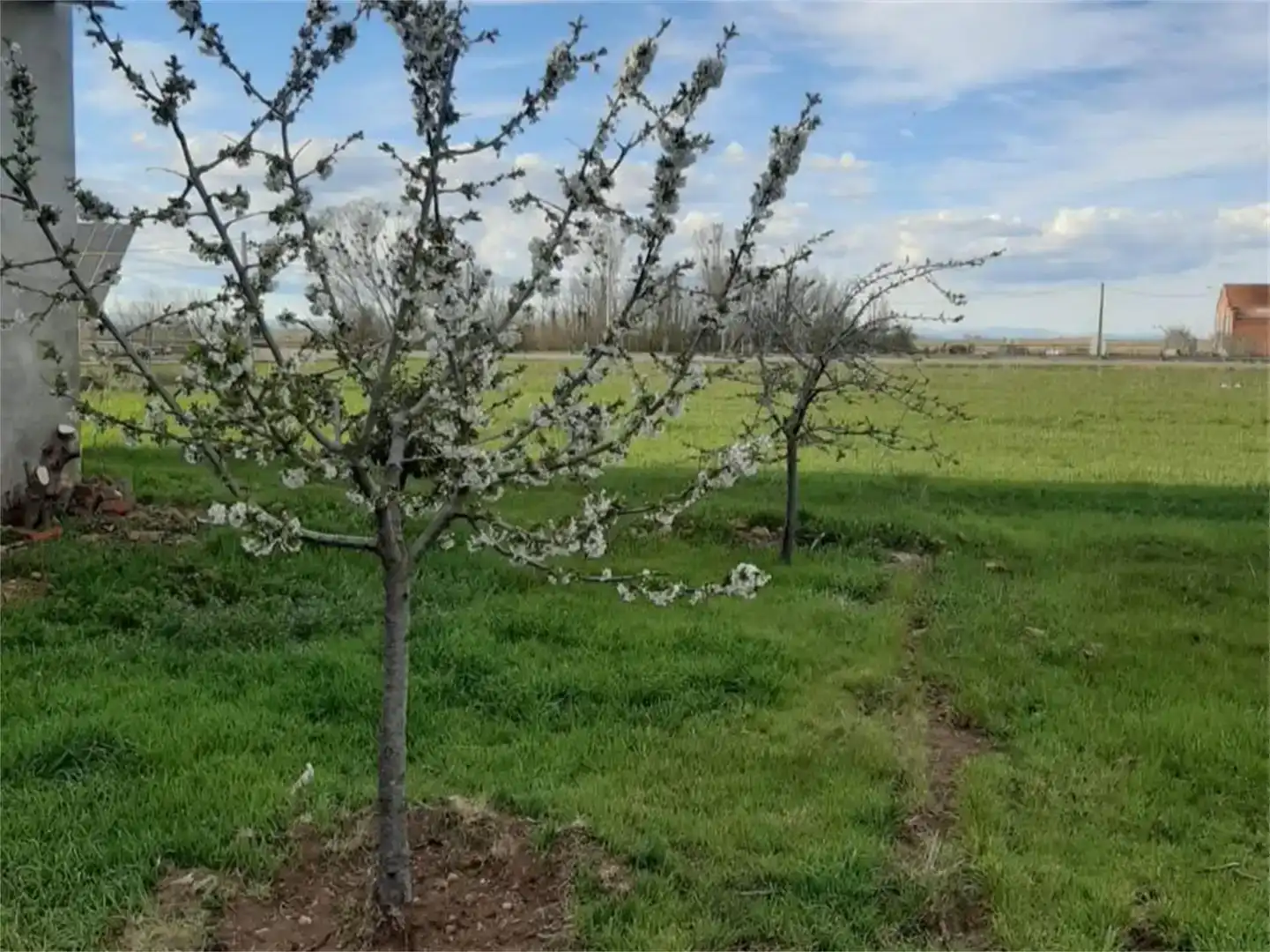 Casa o xalet en venda en Valdefuentes del Páramo