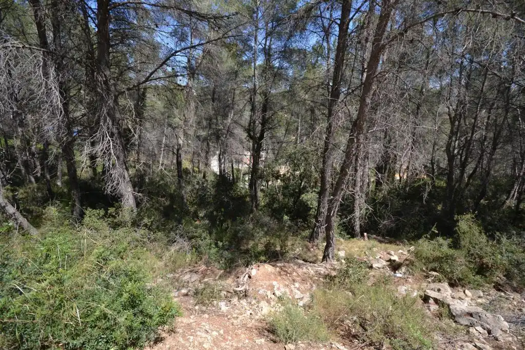 Rural land for sale in c/ can macia, imagen 27