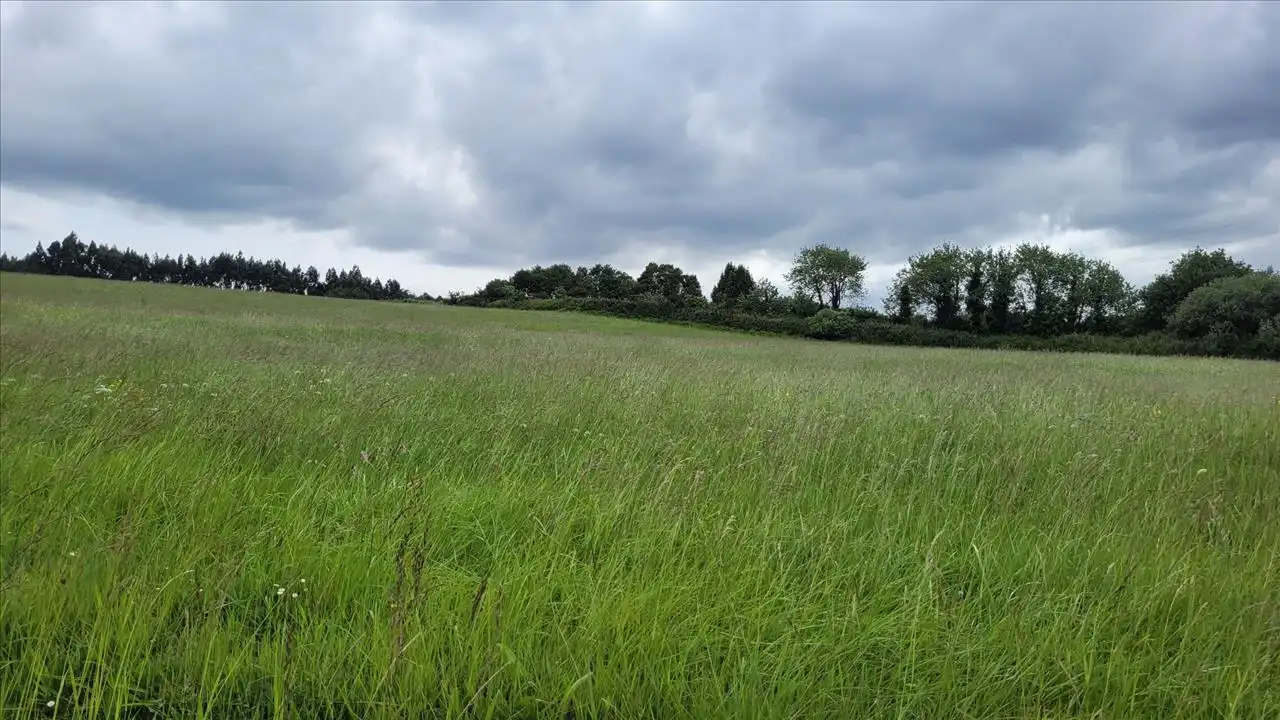 Industrial land for sale in Caserio Trasmonte, 5, Corvera de Asturias