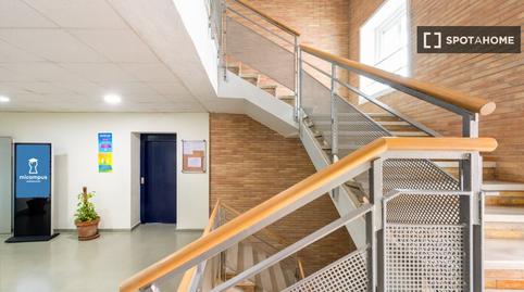 Photo 2 of House or chalet to share in Bellavista,  Sevilla Capital