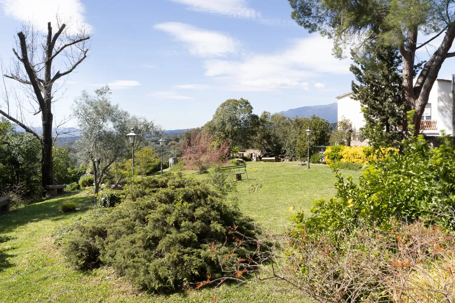 Jardí de Finca rústica en venda en Massanes amb Aire condicionat, Calefacció i Jardí privat