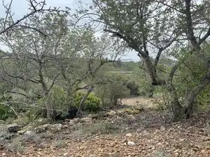 Terreno rustico in vendita a Carrer Major 22, imagen 3