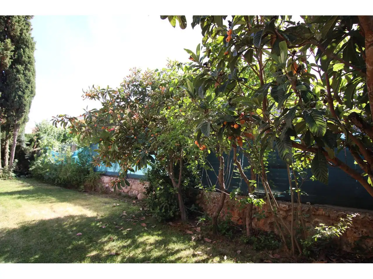 Jardín de Casa o chalet en venta en Cabanillas del Campo con Calefacción, Jardín privado y Terraza