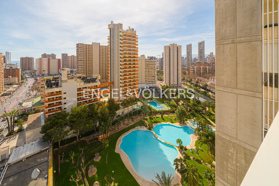 Vista exterior de Àtic en venda en Benidorm amb Aire condicionat, Jardí privat i Piscina comunitària