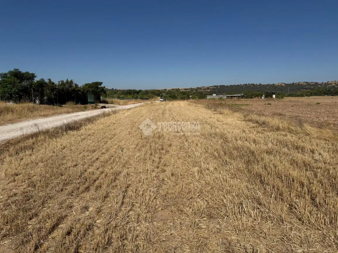 Terreny rústic en venda a Fuente El Saz de Jarama