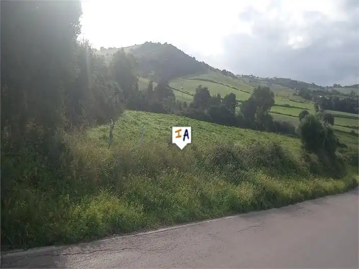 Terreni e lotti in vendita a Barbate ciudad
