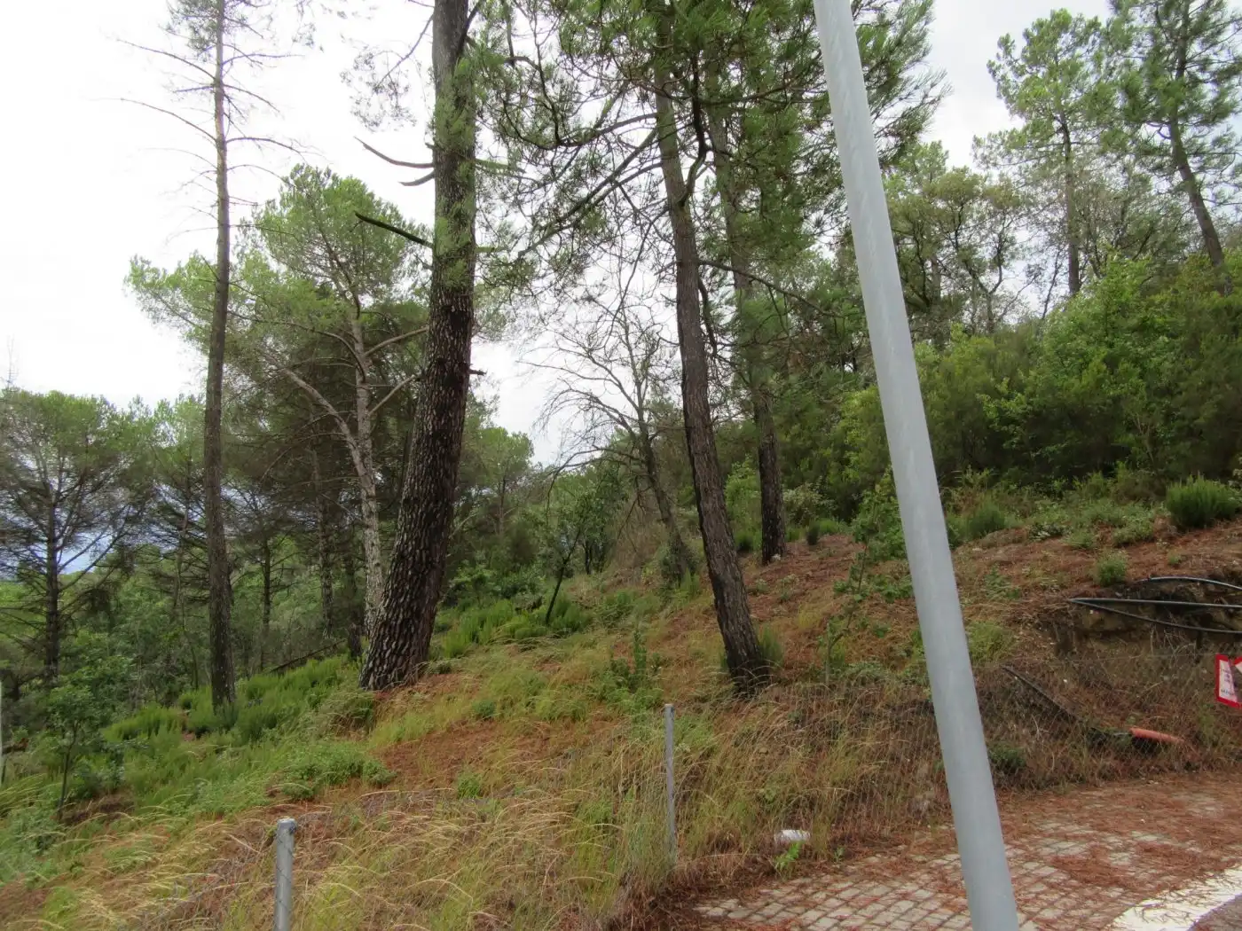 Terreno residenziale in vendita a Sant Celoni, imagen 12