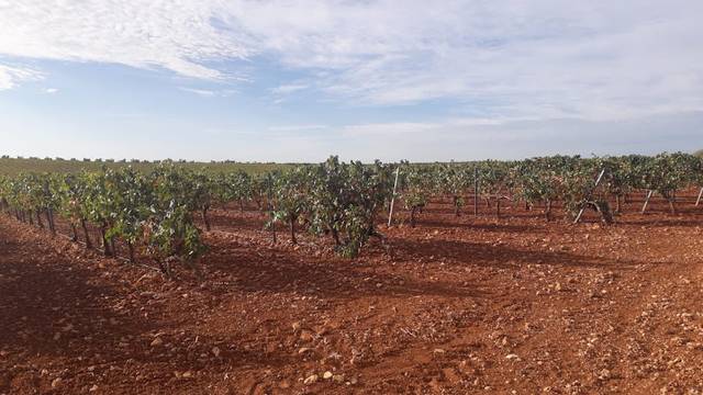 Terreno en Venta en N/A, -1 en Renau