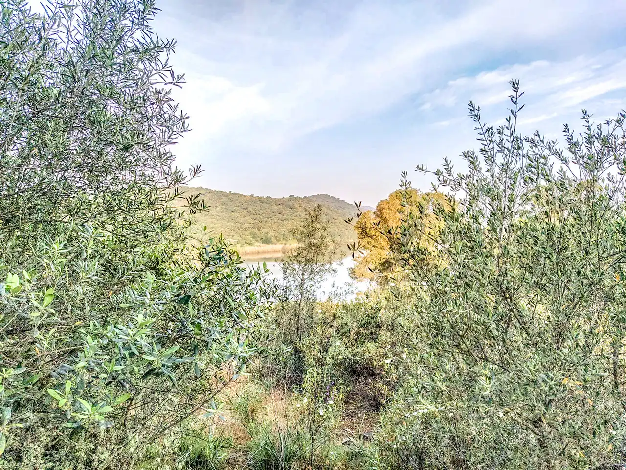 Casa rústica en venda a Camino del Romerano, imagen 6