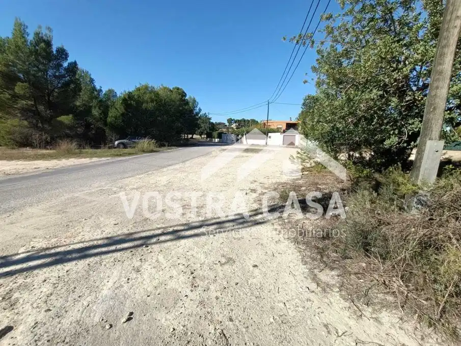 Terreno rustico in vendita a CAMINO DE LOS FELIPES, imagen 2