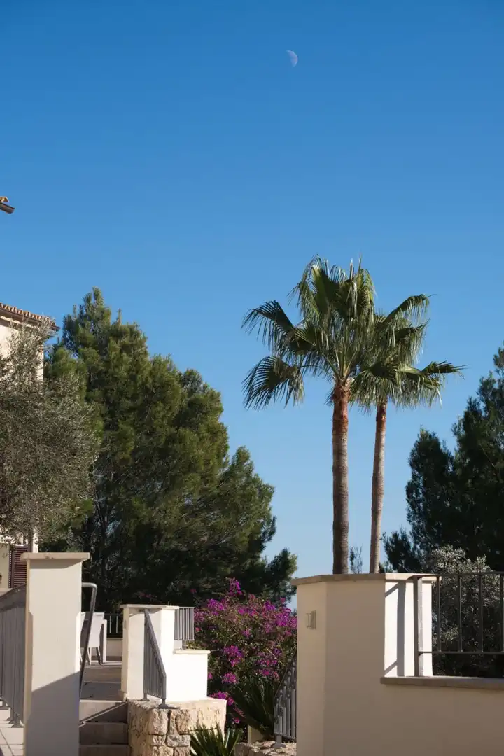Maison avec terrasse à vendre à Santa María del Camí - Camino Camí des Raiguer, imagen 53