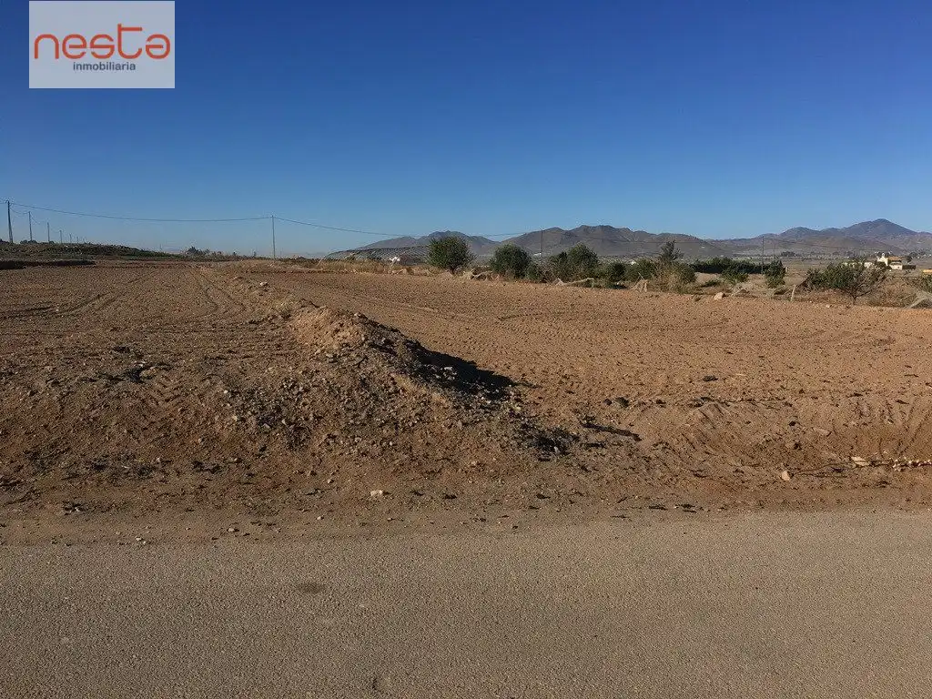 Residential land for sale in Pedanías Sur, imagen 2