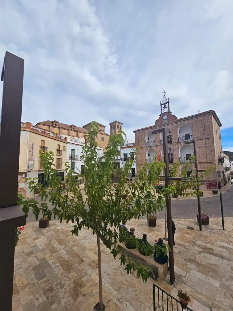 Exterior view of Houses for sale in Laujar de Andarax  with Private garden, Terrace and Furnished