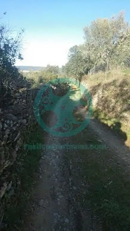 Xalet amb jardí en venda a Calle Buenavista, imagen 8
