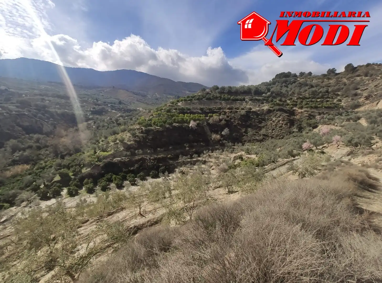 Terreni e lotti in vendita a El Valle, imagen 5