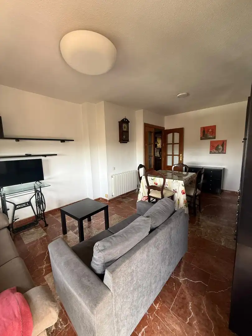 Sala de estar de Piso de alquiler en Granada con Terraza